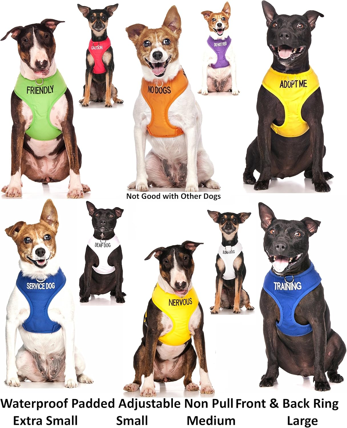 Limited Nervous (Give Me Space) Yellow Color Coded Non-Pull Front and Back D Ring Padded and Waterproof Vest Dog Harness Prevents Accidents by Warning Others of Your Dog in Advance (L)