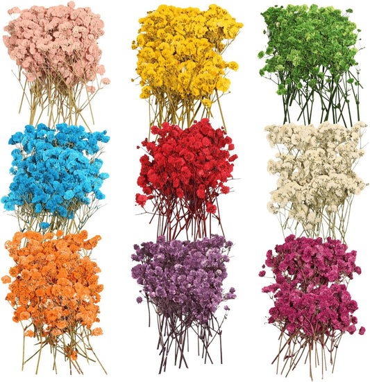 9 Pack Dried Flowers, Natural Pressed Flowers Kit for DIY Crafts, Scrapbook, Card Making,9 Colors