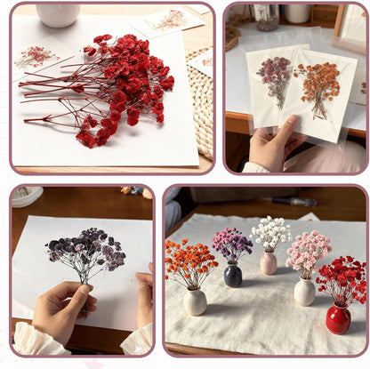 9 Pack Dried Flowers, Natural Pressed Flowers Kit for DIY Crafts, Scrapbook, Card Making,9 Colors