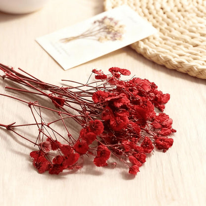 9 Pack Dried Flowers, Natural Pressed Flowers Kit for DIY Crafts, Scrapbook, Card Making,9 Colors