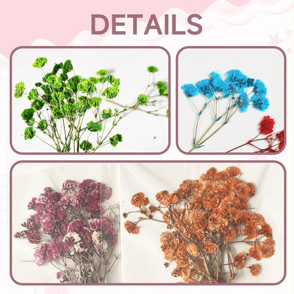 9 Pack Dried Flowers, Natural Pressed Flowers Kit for DIY Crafts, Scrapbook, Card Making,9 Colors