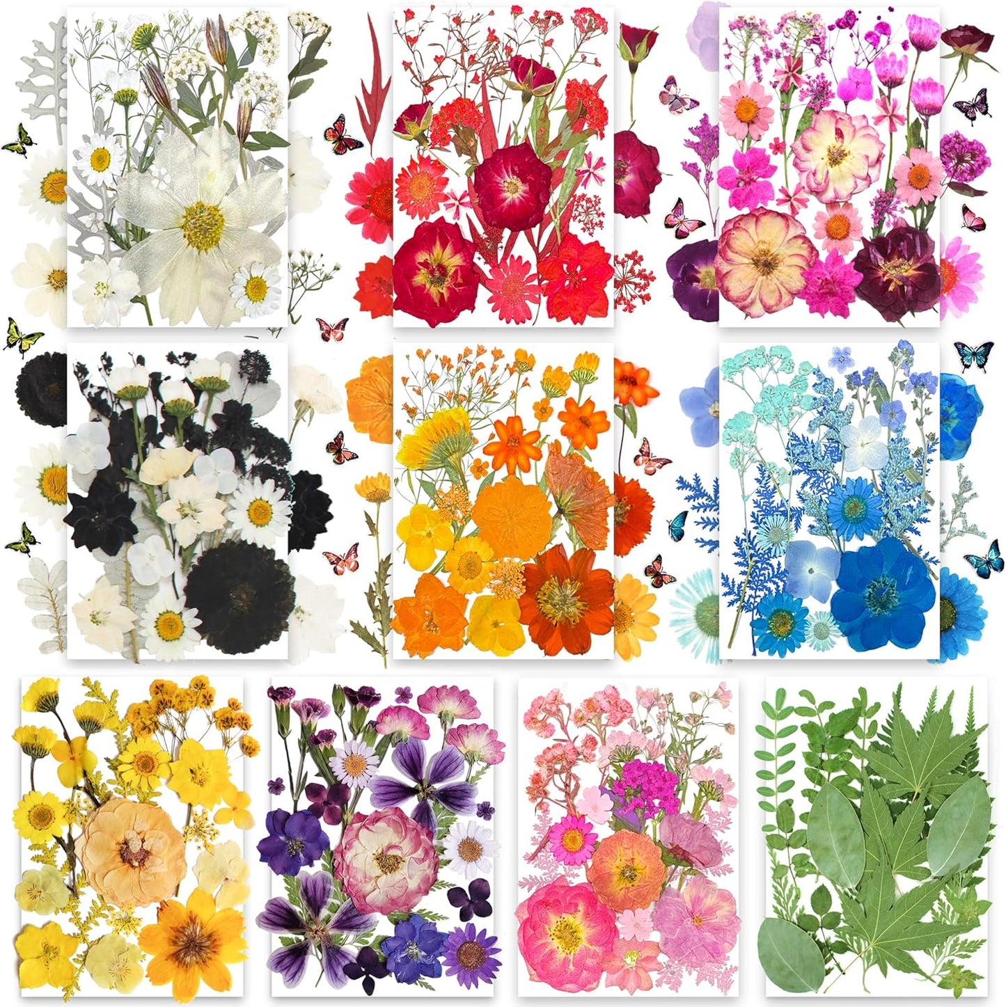 301Pcs Multi-Style Dried Pressed Flowers & Leaves (10 Packs) - Pressed Flower for Crafts, Resin, Nail Art, Candle, Soap, Scrapbooking & Frame Decor