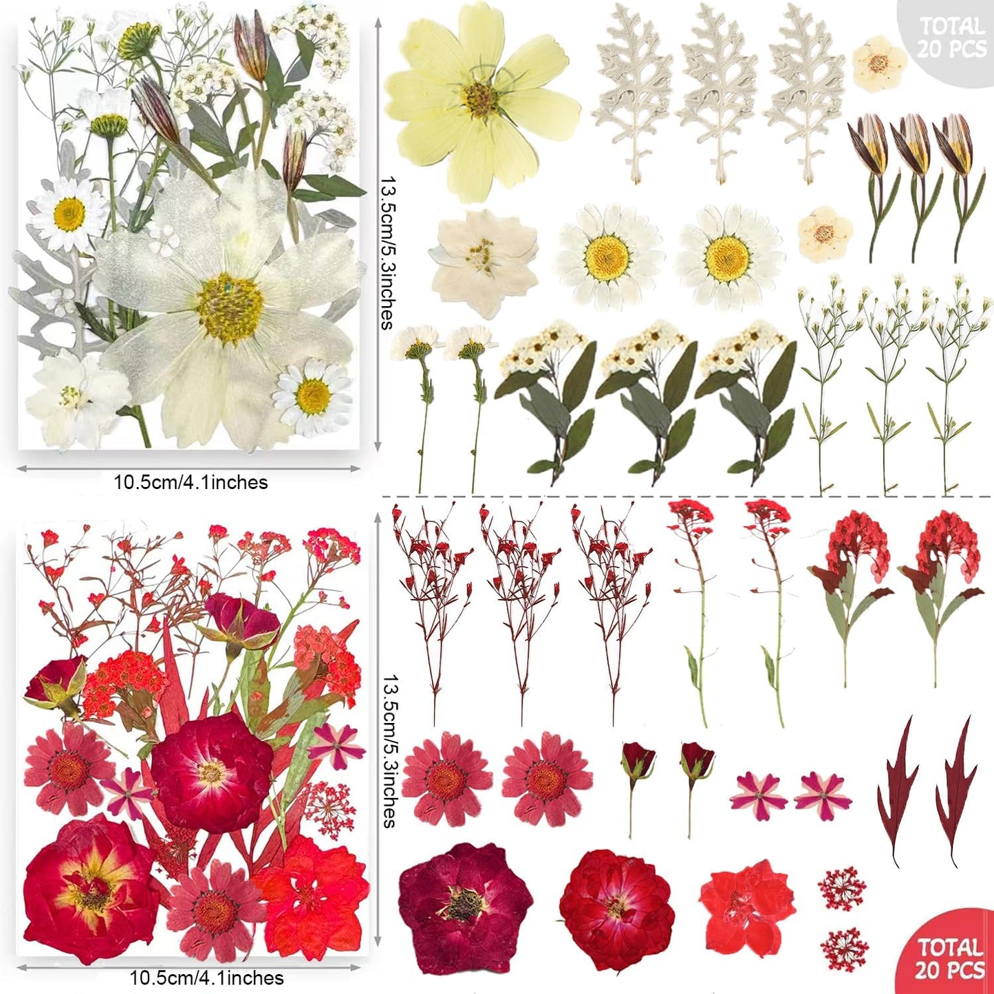 301Pcs Multi-Style Dried Pressed Flowers & Leaves (10 Packs) - Pressed Flower for Crafts, Resin, Nail Art, Candle, Soap, Scrapbooking & Frame Decor