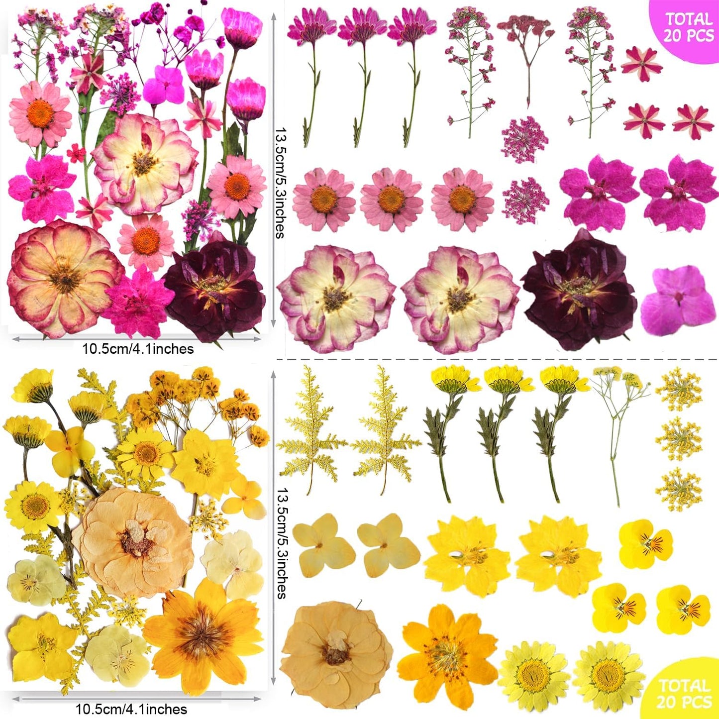 301Pcs Multi-Style Dried Pressed Flowers & Leaves (10 Packs) - Pressed Flower for Crafts, Resin, Nail Art, Candle, Soap, Scrapbooking & Frame Decor