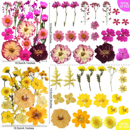 301Pcs Multi-Style Dried Pressed Flowers & Leaves (10 Packs) - Pressed Flower for Crafts, Resin, Nail Art, Candle, Soap, Scrapbooking & Frame Decor