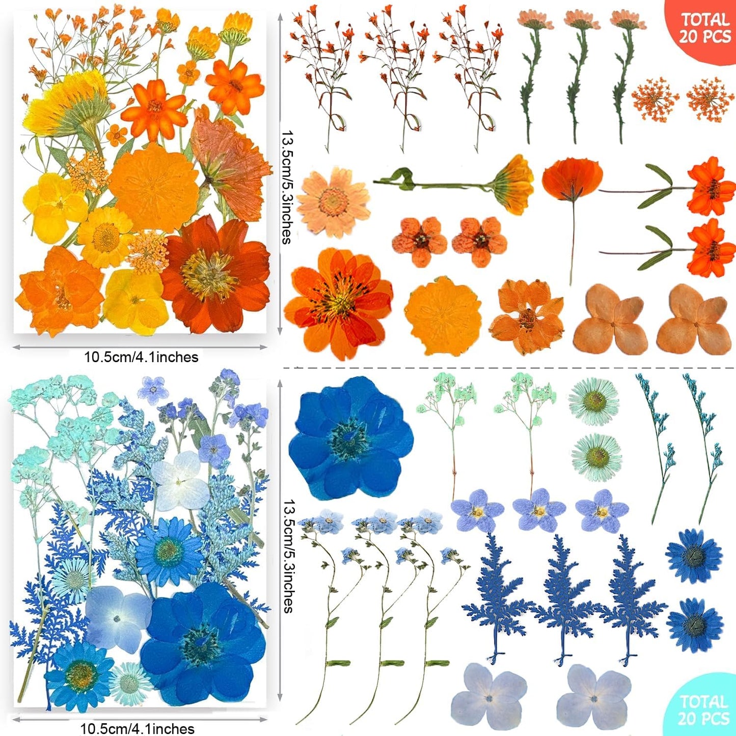 301Pcs Multi-Style Dried Pressed Flowers & Leaves (10 Packs) - Pressed Flower for Crafts, Resin, Nail Art, Candle, Soap, Scrapbooking & Frame Decor