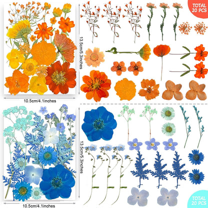 301Pcs Multi-Style Dried Pressed Flowers & Leaves (10 Packs) - Pressed Flower for Crafts, Resin, Nail Art, Candle, Soap, Scrapbooking & Frame Decor