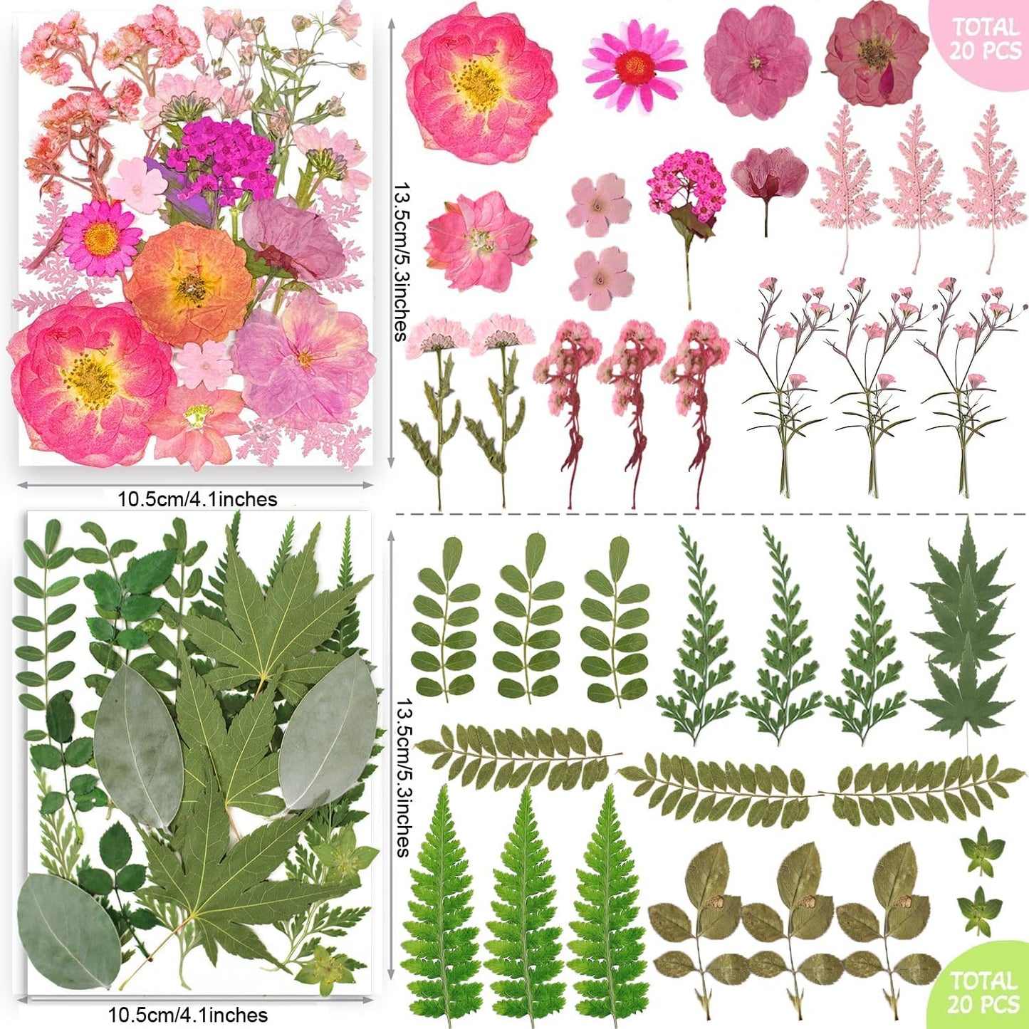 301Pcs Multi-Style Dried Pressed Flowers & Leaves (10 Packs) - Pressed Flower for Crafts, Resin, Nail Art, Candle, Soap, Scrapbooking & Frame Decor