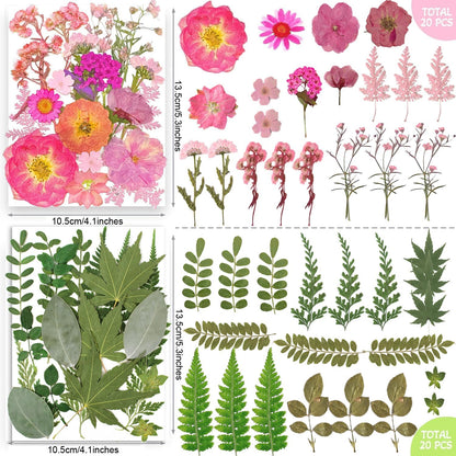 301Pcs Multi-Style Dried Pressed Flowers & Leaves (10 Packs) - Pressed Flower for Crafts, Resin, Nail Art, Candle, Soap, Scrapbooking & Frame Decor