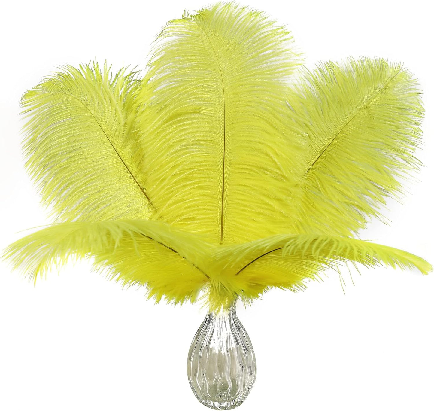 Yellow Large Ostrich Feathers Bulk Centerpieces,24Pcs,10-12inch | Fluorescent Yellow Ostrich Feathers for Crafts Table Vase,Wedding Party Centerpieces,Mardi Gras and Easter Home Decorations
