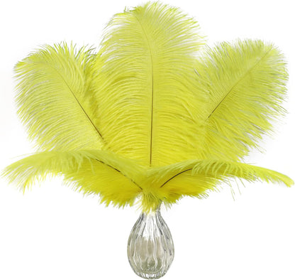 Yellow Large Ostrich Feathers Bulk Centerpieces,24Pcs,10-12inch | Fluorescent Yellow Ostrich Feathers for Crafts Table Vase,Wedding Party Centerpieces,Mardi Gras and Easter Home Decorations