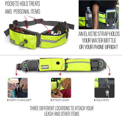 TAKSIN The Ultimate Hands Free Dog Leash System for Walking Running Hiking Training, Reflective Bungee Leash, Treat Holder, Poop Bag Dispenser for Small Medium Large Dogs (Yellow Pack)