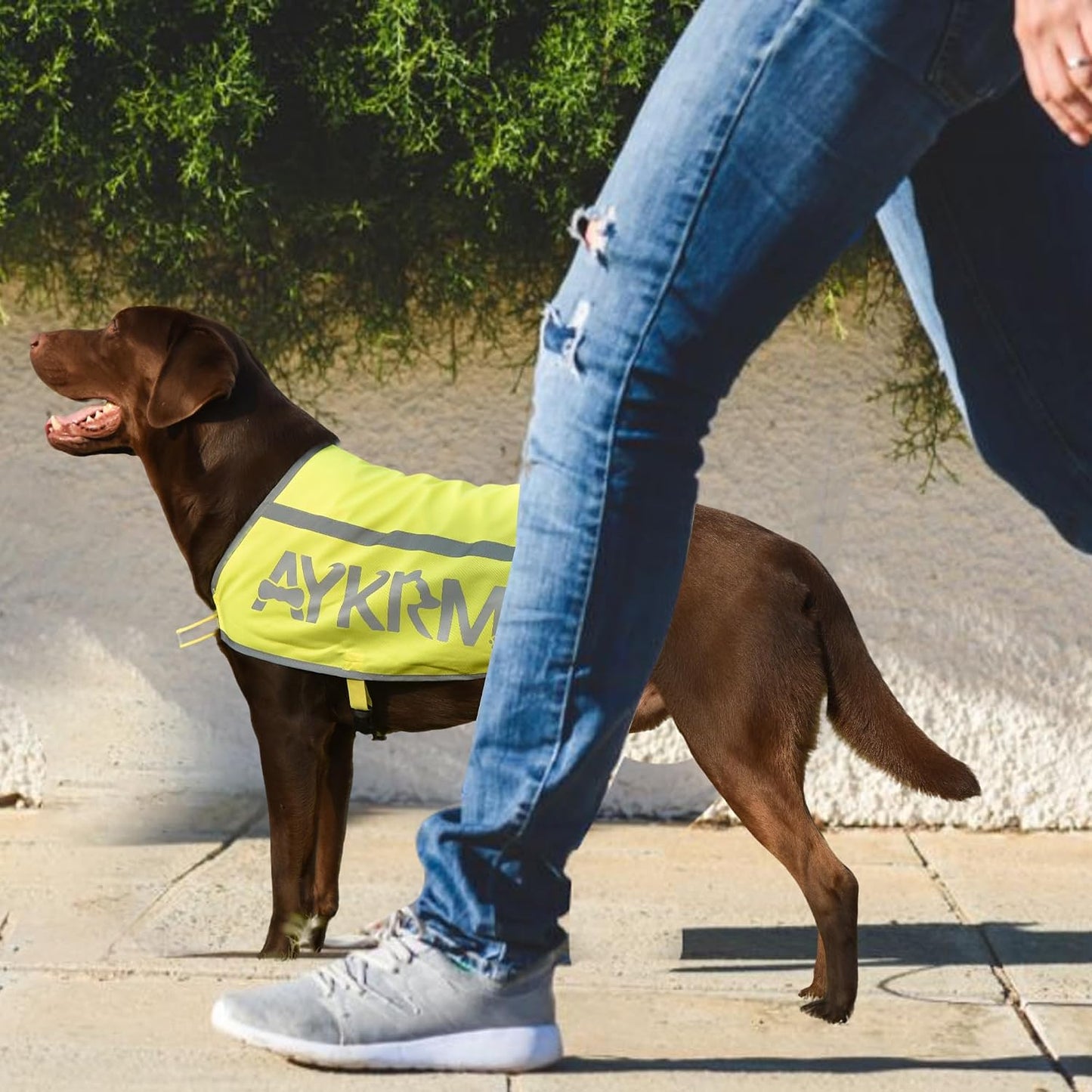 Yellow Reflective Dog Vest for 3XLarge Breeds, High Visibility Dog Safety Vest Harness with Removable Bell Keep Safe from Hunting, Training & Cars Accidents
