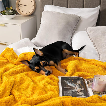 PAVILIA Sherpa Throw Blanket for Couch Sofa Bed, Mustard Yellow Fluffy Plush Fleece Microfiber Blanket, Lightweight Soft Cozy Reversible Throw, All Season Home Decor Gift, 50x60 Inches