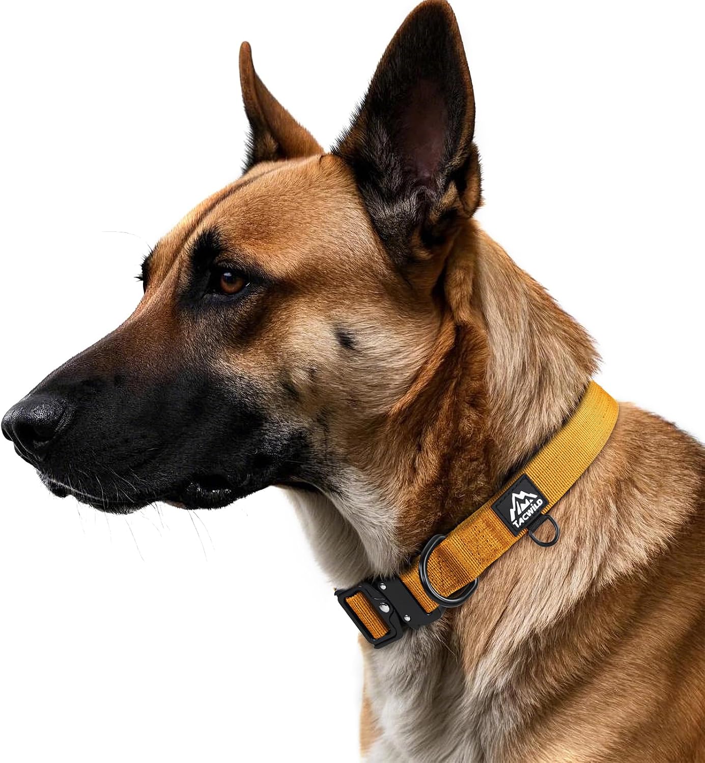 Dog Collar for Large Medium Small Dogs Leash Harness(Turmeric Yellow,XL)