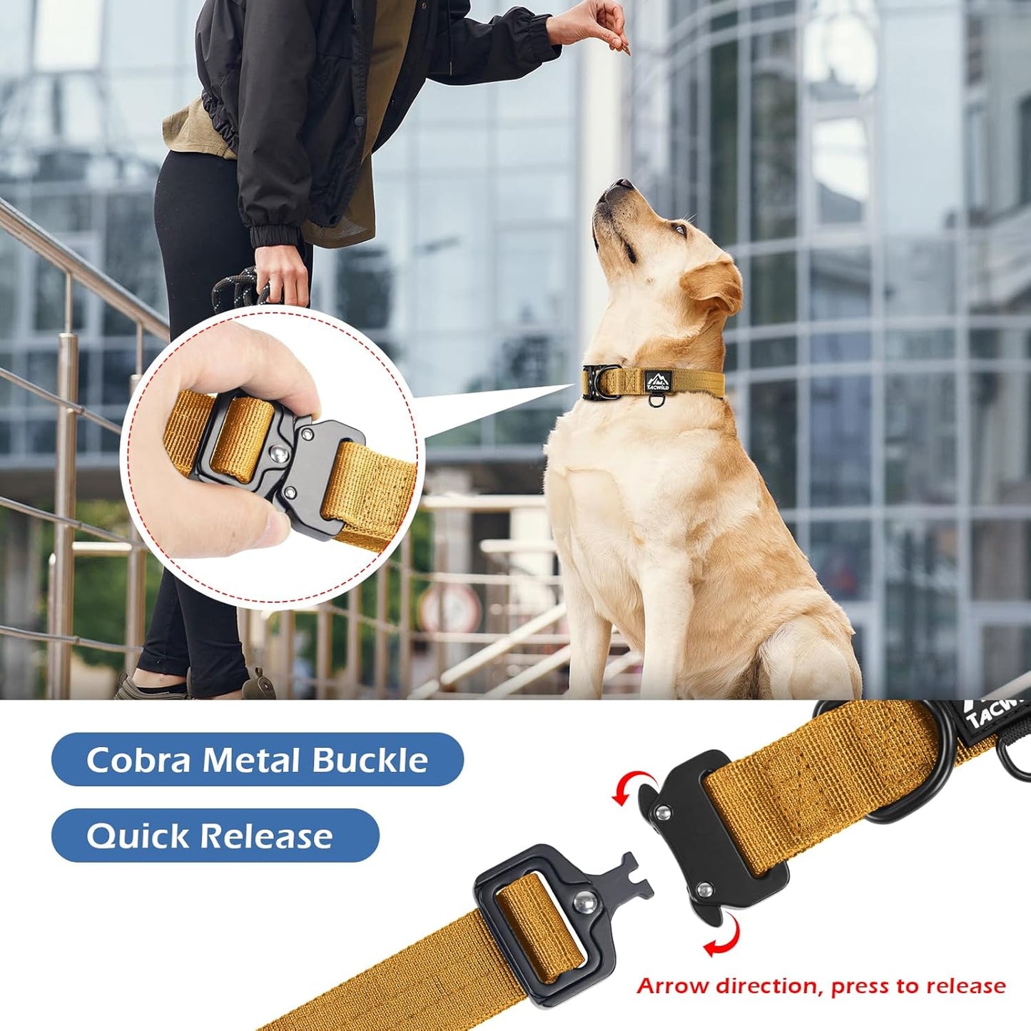 Dog Collar for Large Medium Small Dogs Leash Harness(Turmeric Yellow,XL)