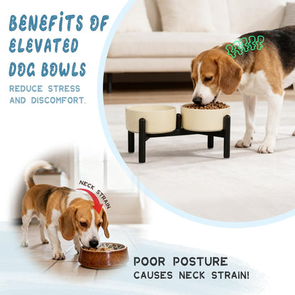 Ceramic Elevated Dog Bowl Set - Dog Feeder Station with Cute-Style Double Bowls for Small and Medium Size Breed - Non-Slip Raised Dish for Food and Water Feeding- 6 Inch - 3.5 Cups / 20 fl oz - Yellow