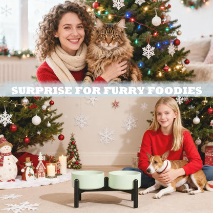 Ceramic Elevated Dog Bowl Set - Dog Feeder Station with Cute-Style Double Bowls for Small and Medium Size Breed - Non-Slip Raised Dish for Food and Water Feeding- 6 Inch - 3.5 Cups / 20 fl oz - Yellow