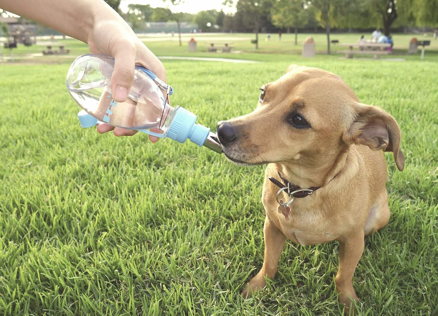 Choco Nose No-Drip Portable Travel Water Bottle for Small Dogs & Cats - Lockable Leak-Proof Design Prevents Spills in Bags & Cars, Outdoor Feeder for Puppies & Toy Breeds, 8 fl oz (C258)