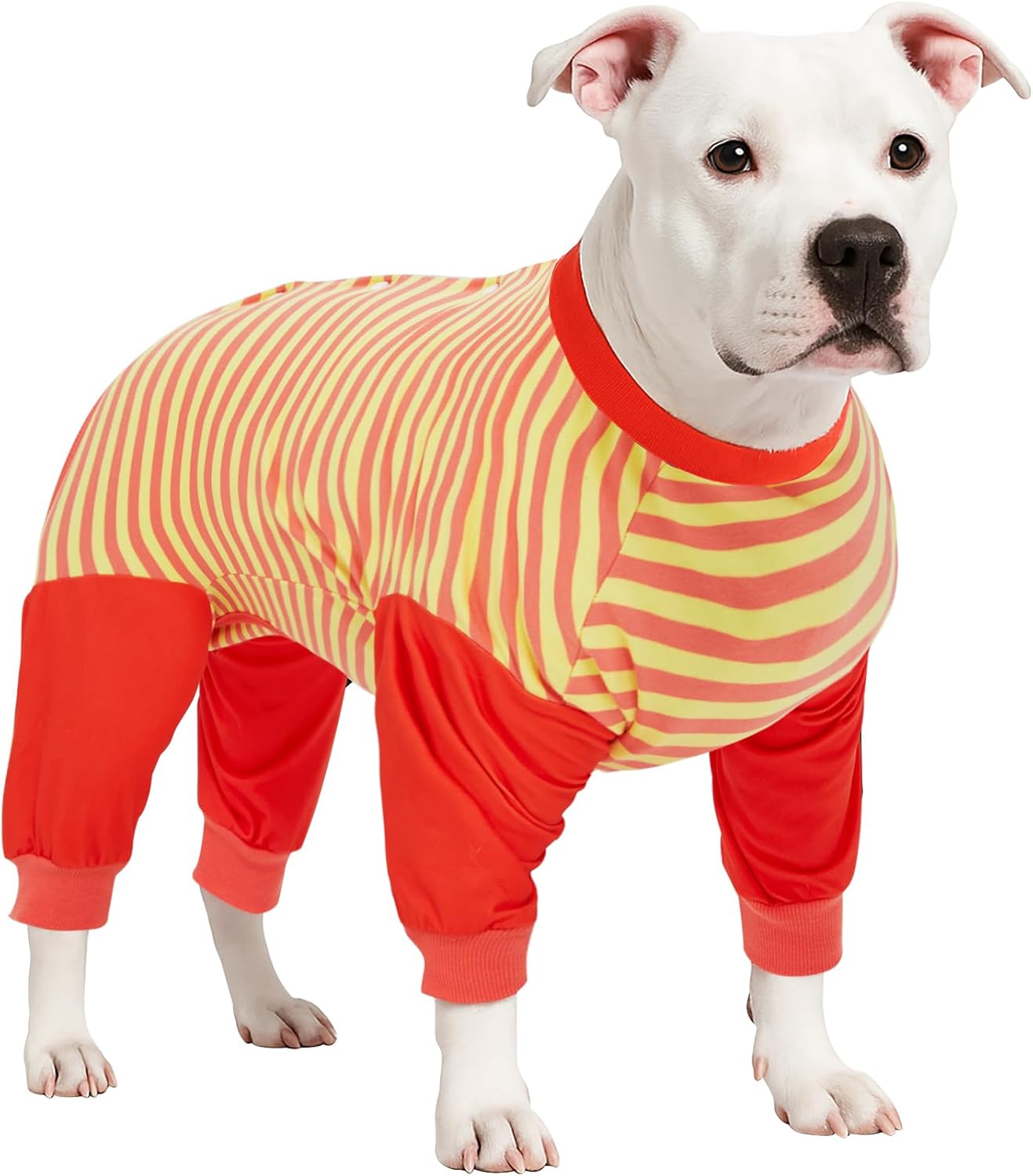Dog Recovery Bodysuit, Full Body Wound Protection for Large Medium Dogs, Abdomen Cut-Out Post-Surgery Care, Wide Stripe, Orange Yellow, XXL