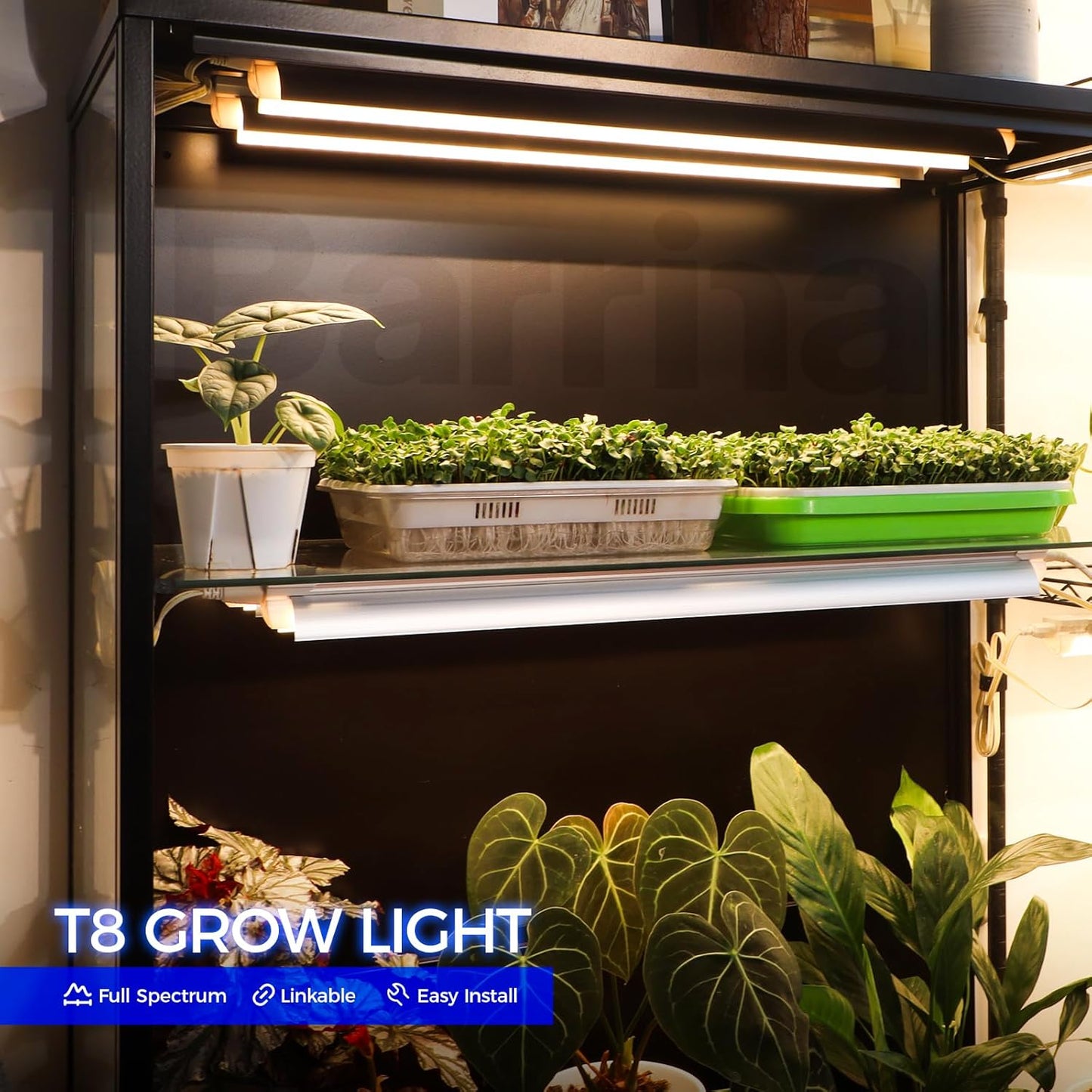 T8 Plant Light, 144W(6 x 24W), 800W Equivalent, 2FT Super Bright, Full Spectrum, led Grow Light, Integrated Growing Lamp Fixture, for Indoor Plants, 6-Pack