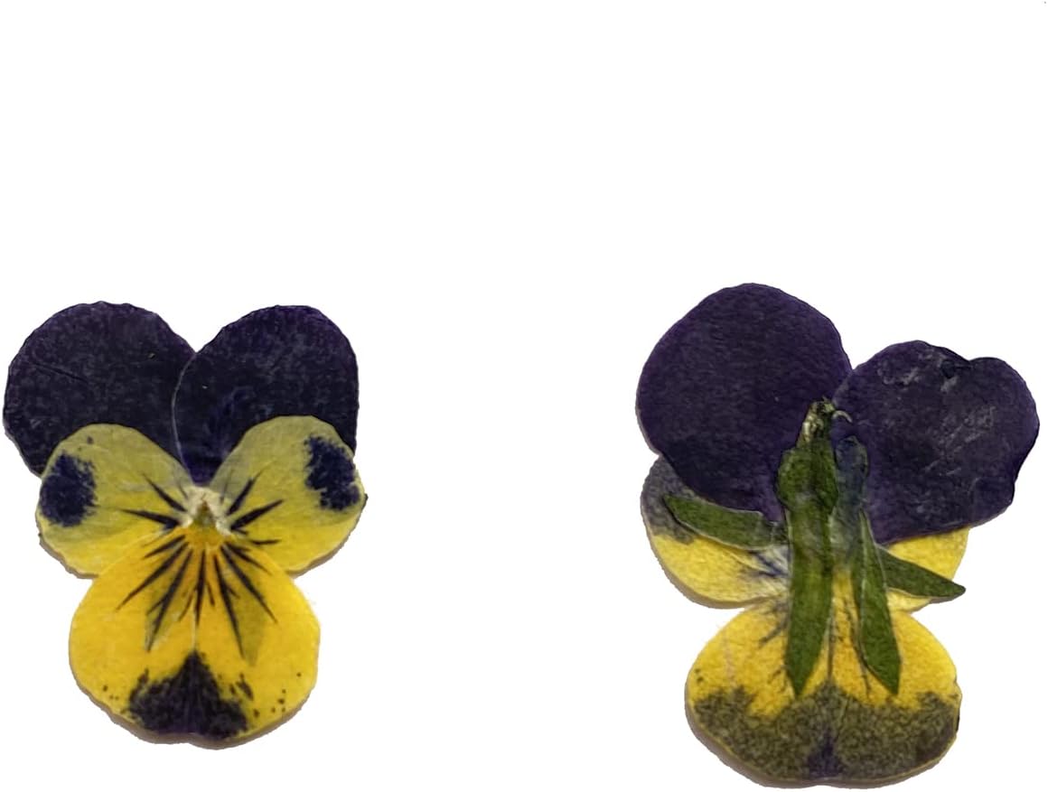 Natural Pansy Dried Pressed Flowers for Resin, Dry Flower for Candle,Epoxy Resin,Soap Making,Scrapbooking,DIY Art Crafts,Painting 12pcs/Pack (Pansy Yellow Purple)