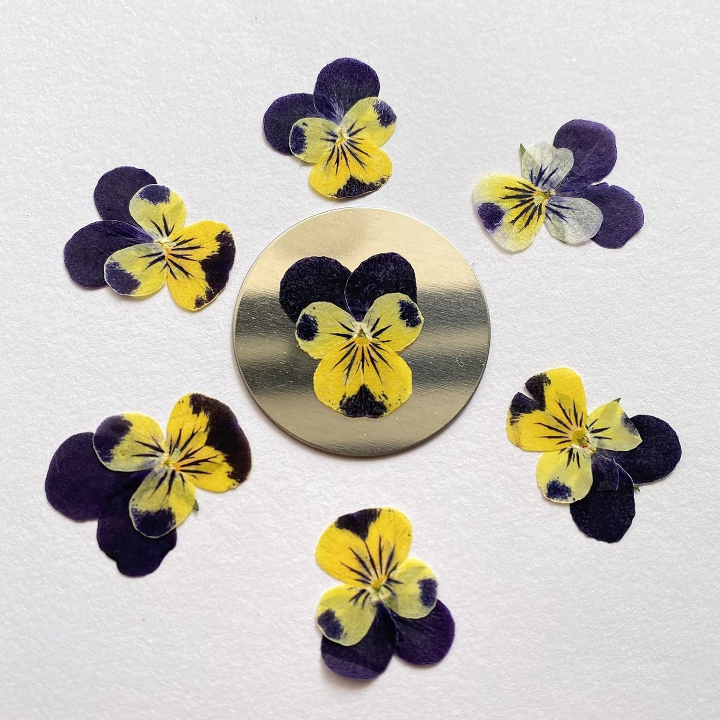 Natural Pansy Dried Pressed Flowers for Resin, Dry Flower for Candle,Epoxy Resin,Soap Making,Scrapbooking,DIY Art Crafts,Painting 12pcs/Pack (Pansy Yellow Purple)