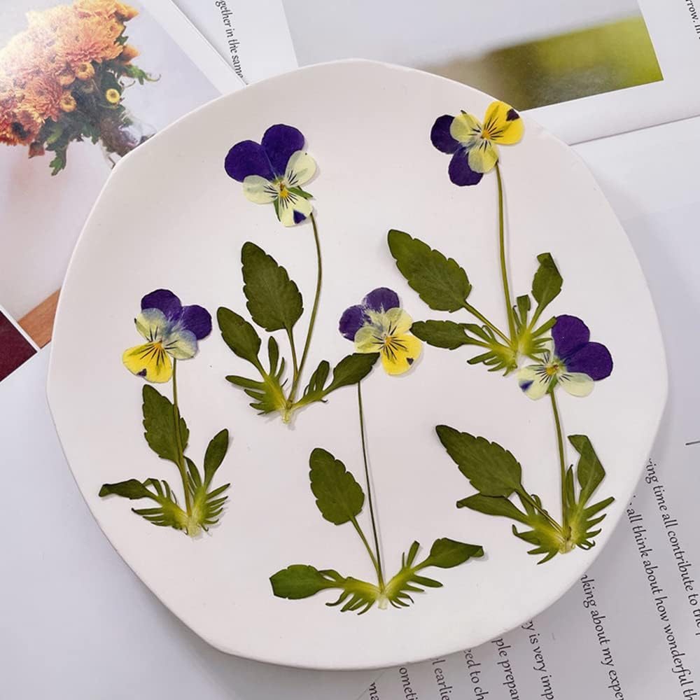 Natural Pansy Dried Pressed Flowers for Resin, Dry Flower for Candle,Epoxy Resin,Soap Making,Scrapbooking,DIY Art Crafts,Painting 12pcs/Pack (Pansy Yellow Purple)