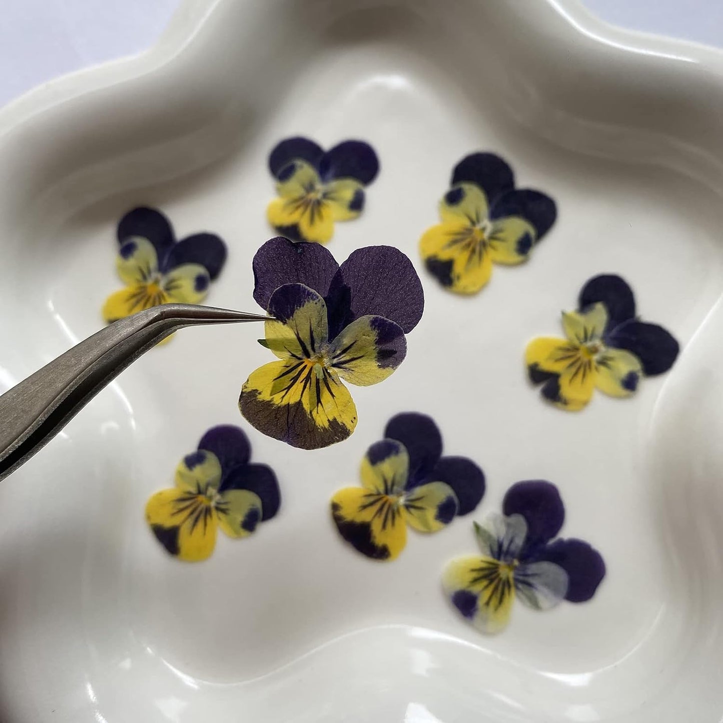 Natural Pansy Dried Pressed Flowers for Resin, Dry Flower for Candle,Epoxy Resin,Soap Making,Scrapbooking,DIY Art Crafts,Painting 12pcs/Pack (Pansy Yellow Purple)