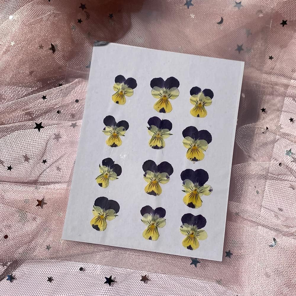 Natural Pansy Dried Pressed Flowers for Resin, Dry Flower for Candle,Epoxy Resin,Soap Making,Scrapbooking,DIY Art Crafts,Painting 12pcs/Pack (Pansy Yellow Purple)