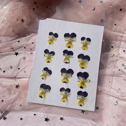 Natural Pansy Dried Pressed Flowers for Resin, Dry Flower for Candle,Epoxy Resin,Soap Making,Scrapbooking,DIY Art Crafts,Painting 12pcs/Pack (Pansy Yellow Purple)