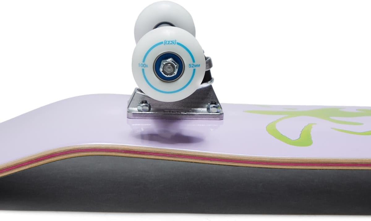[ ] Skateboard Complete | Maple Wood | Professional Grade | Fully Assembled with Skate Tool & Stickers | Adults, Kids, Teens, Youth | Boys & Girls
