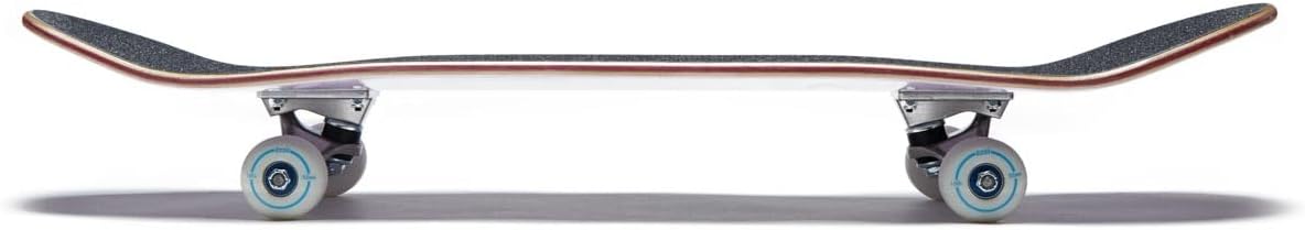 [ ] Skateboard Complete | Maple Wood | Professional Grade | Fully Assembled with Skate Tool & Stickers | Adults, Kids, Teens, Youth | Boys & Girls