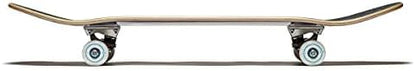 [ ] Skateboard Complete | Maple Wood | Professional Grade | Fully Assembled with Skate Tool & Stickers | Adults, Kids, Teens, Youth | Boys & Girls