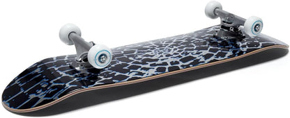 [ ] Skateboard Complete | Maple Wood | Professional Grade | Fully Assembled with Skate Tool & Stickers | Adults, Kids, Teens, Youth | Boys & Girls