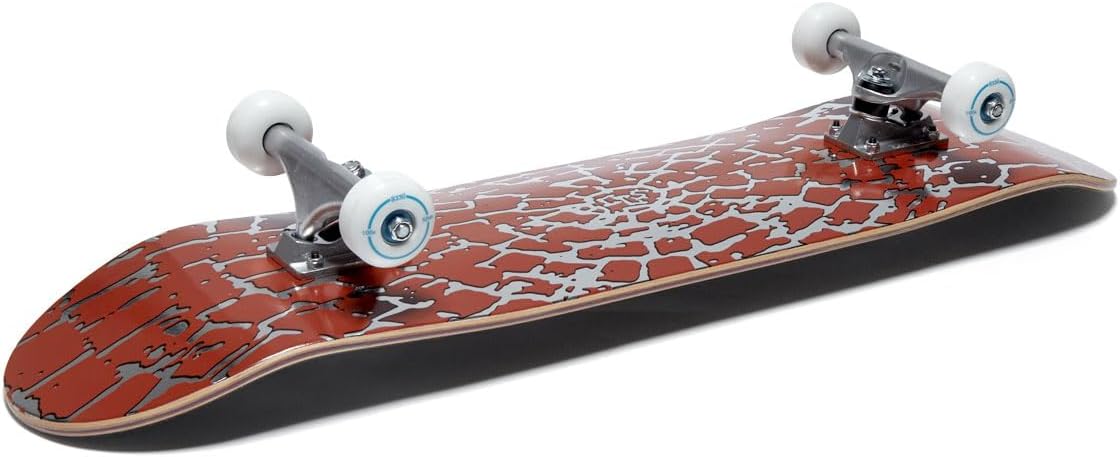 [ ] Skateboard Complete | Maple Wood | Professional Grade | Fully Assembled with Skate Tool & Stickers | Adults, Kids, Teens, Youth | Boys & Girls