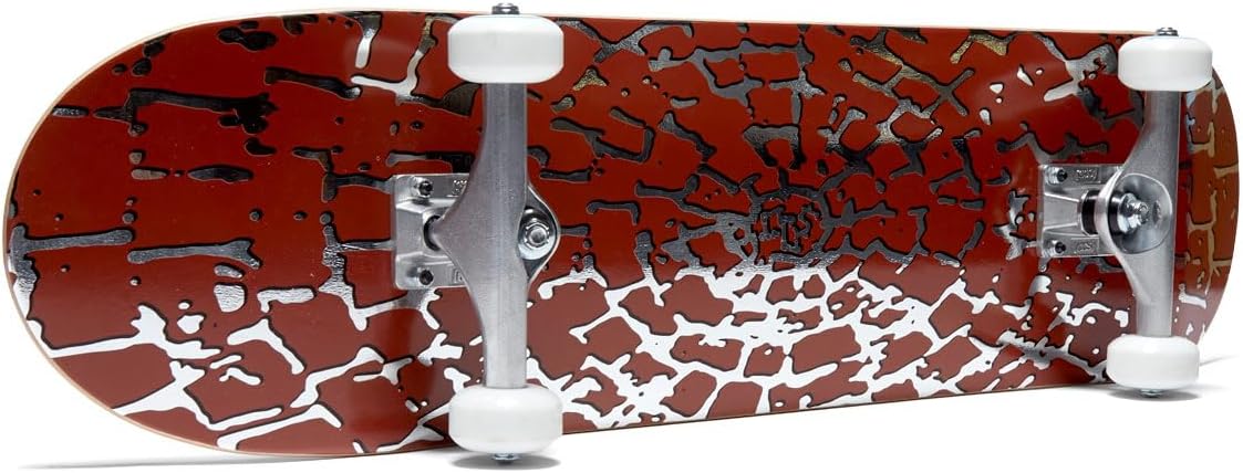 [ ] Skateboard Complete | Maple Wood | Professional Grade | Fully Assembled with Skate Tool & Stickers | Adults, Kids, Teens, Youth | Boys & Girls