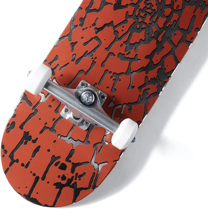 [ ] Skateboard Complete | Maple Wood | Professional Grade | Fully Assembled with Skate Tool & Stickers | Adults, Kids, Teens, Youth | Boys & Girls