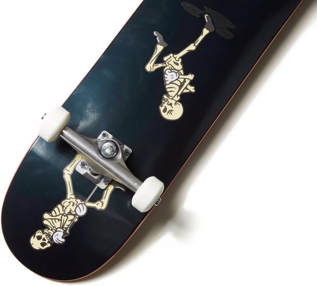 [ ] Skateboard Complete | Maple Wood | Professional Grade | Fully Assembled with Skate Tool & Stickers | Adults, Kids, Teens, Youth | Boys & Girls