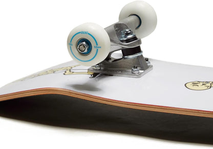 [ ] Skateboard Complete | Maple Wood | Professional Grade | Fully Assembled with Skate Tool & Stickers | Adults, Kids, Teens, Youth | Boys & Girls