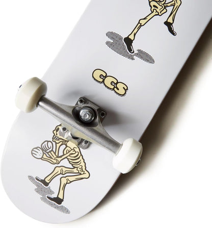 [ ] Skateboard Complete | Maple Wood | Professional Grade | Fully Assembled with Skate Tool & Stickers | Adults, Kids, Teens, Youth | Boys & Girls