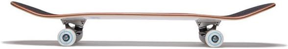 [ ] Skateboard Complete | Maple Wood | Professional Grade | Fully Assembled with Skate Tool & Stickers | Adults, Kids, Teens, Youth | Boys & Girls