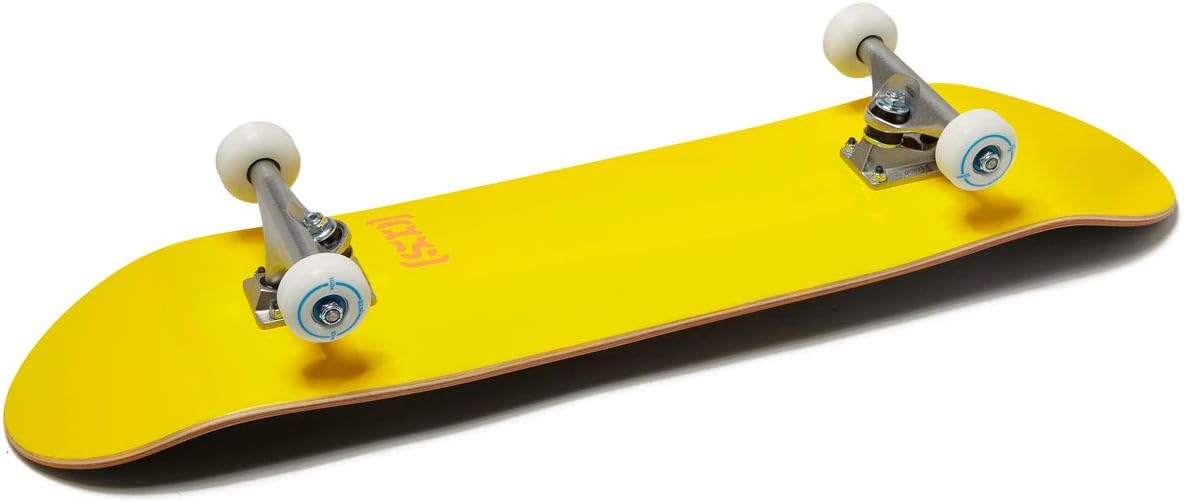 [ ] Skateboard Complete | Maple Wood | Professional Grade | Fully Assembled with Skate Tool & Stickers | Adults, Kids, Teens, Youth | Boys & Girls