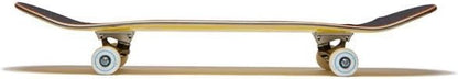 [ ] Skateboard Complete | Maple Wood | Professional Grade | Fully Assembled with Skate Tool & Stickers | Adults, Kids, Teens, Youth | Boys & Girls
