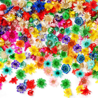 300 Pcs Mini Dried Flowers for Resin,Pressed Natural Flowers for Crafts | Small Dried Flowers for Crafts for DIY Jewelry Making, Candle Soap Making,Nail Art,Epoxy Resin Accessories