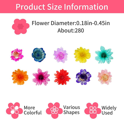 300 Pcs Mini Dried Flowers for Resin,Pressed Natural Flowers for Crafts | Small Dried Flowers for Crafts for DIY Jewelry Making, Candle Soap Making,Nail Art,Epoxy Resin Accessories