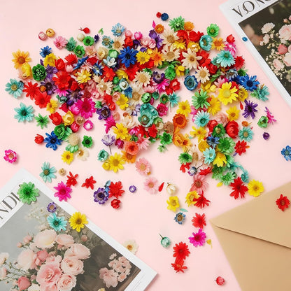 300 Pcs Mini Dried Flowers for Resin,Pressed Natural Flowers for Crafts | Small Dried Flowers for Crafts for DIY Jewelry Making, Candle Soap Making,Nail Art,Epoxy Resin Accessories