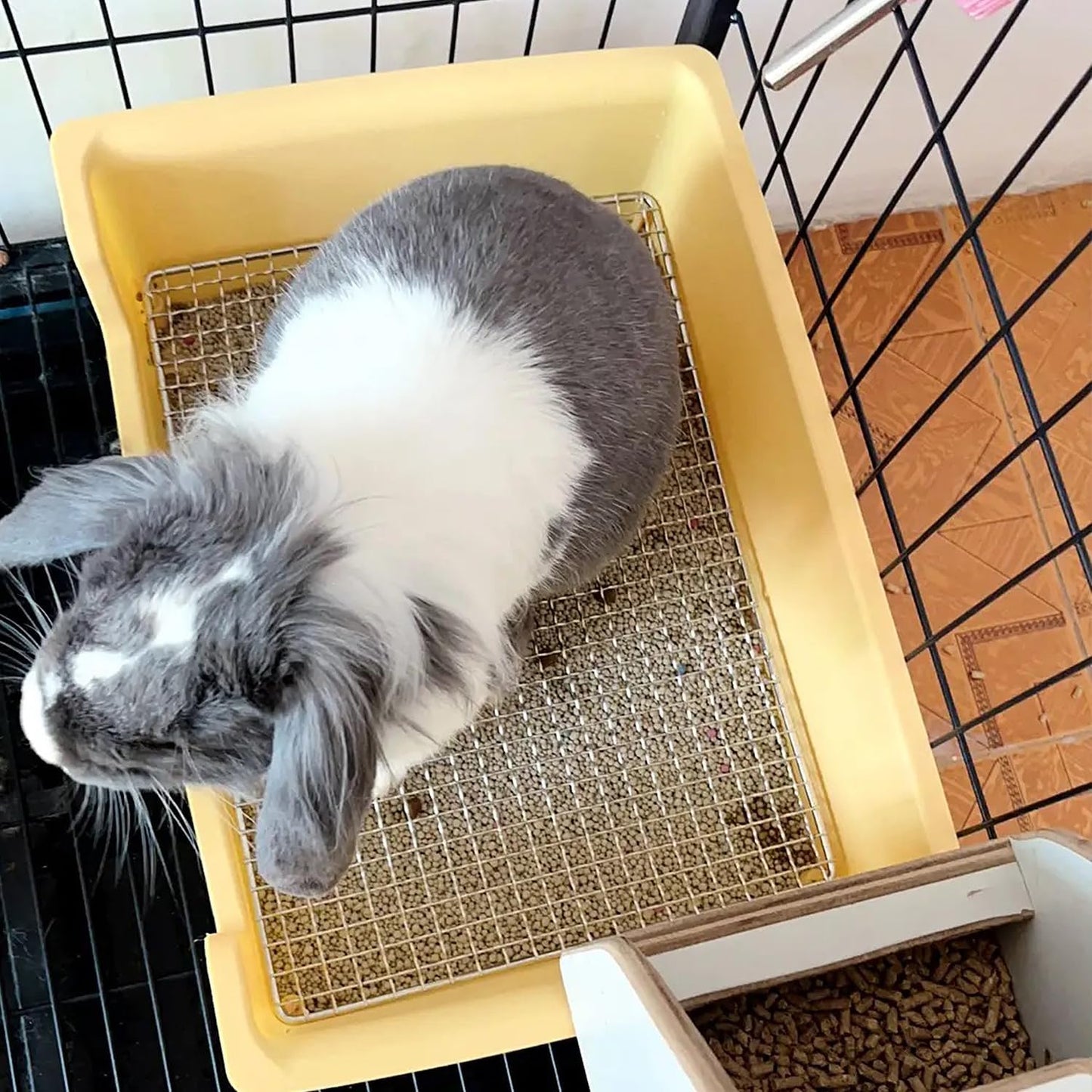 Litter Box Rabbit, Bunny Potty Pan, 1cm Steel Grate with Tray | 39 x 29 x 12 cm box with 1 cm steel mesh keeps paws above waste; removable tray lifts out for quick daily cleaning