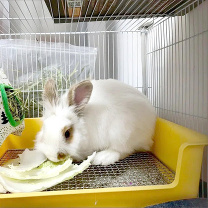 Litter Box Rabbit, Bunny Potty Pan, 1cm Steel Grate with Tray | 39 x 29 x 12 cm box with 1 cm steel mesh keeps paws above waste; removable tray lifts out for quick daily cleaning