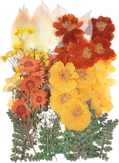 100 PCS Real Dried Pressed Flowers Leaves Natural Plant Herbarium for DIY Resin Mold Jewelry Making Craft (20 Styles)-Fall Yellow Orange